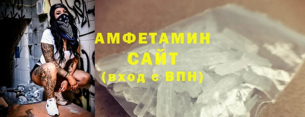 амф Пестово