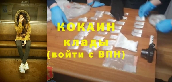 амф Пестово