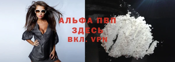 амф Пестово