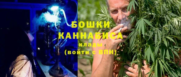 амф Пестово