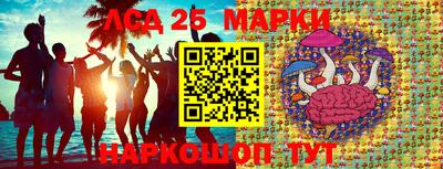 МДПВ Тара